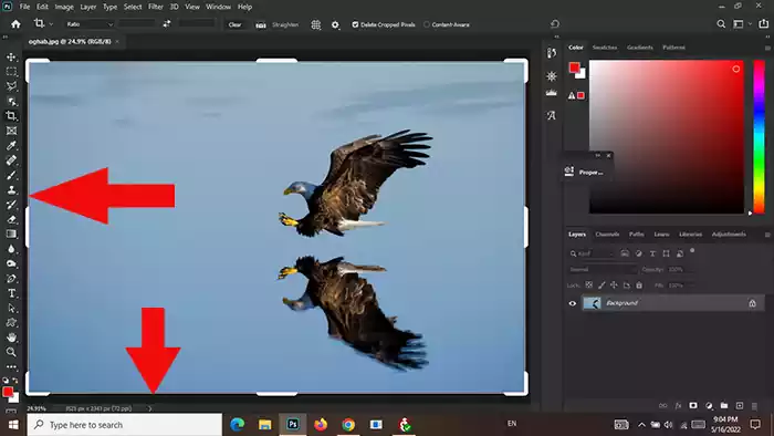 crop tool in photoshop