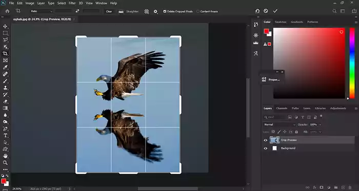Resizing crop in photoshop