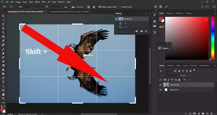 Shift + drag and crop tool