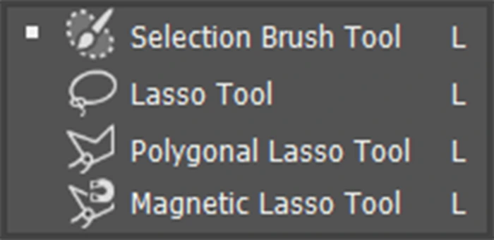lasso tool