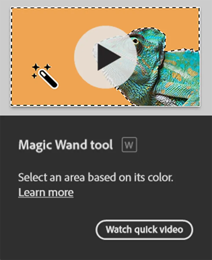 Magic Wand Introduction