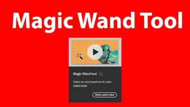 Magic Wand Tool