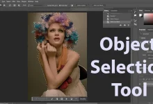 Photoshop Object Selection Tool