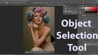 Photoshop Object Selection Tool
