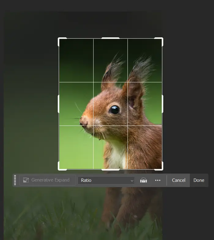 Using Crop Tool