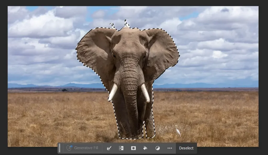 Using Object Selection Tool