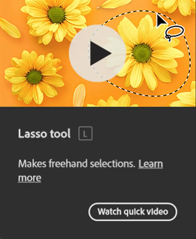 Lasso tool