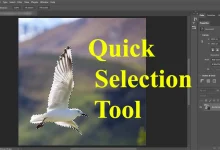 Quick Selection tool