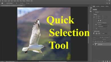 Quick Selection tool
