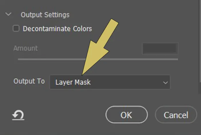 Output the result as a Layer Mask